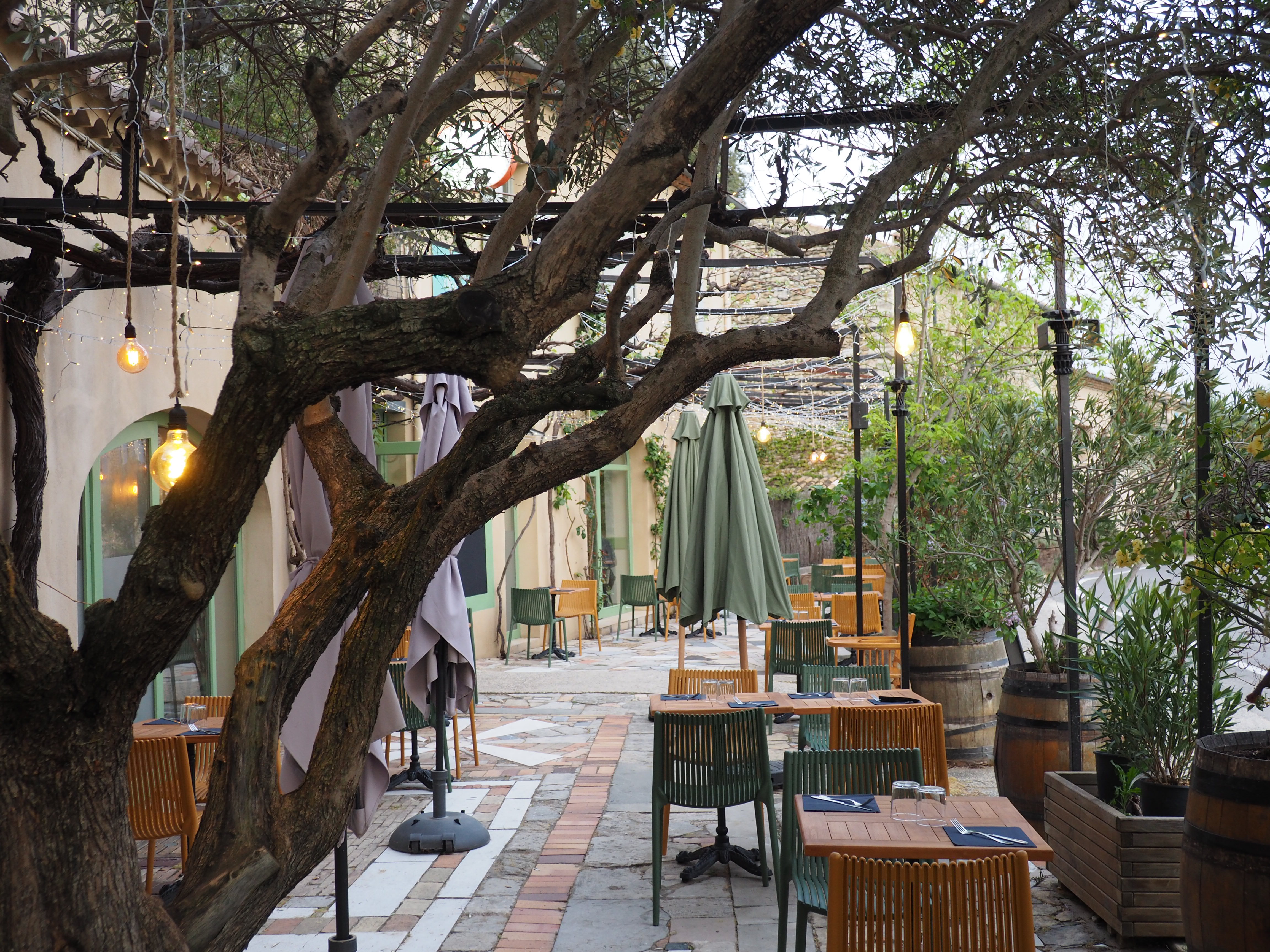 La terrasse sous l'olivier