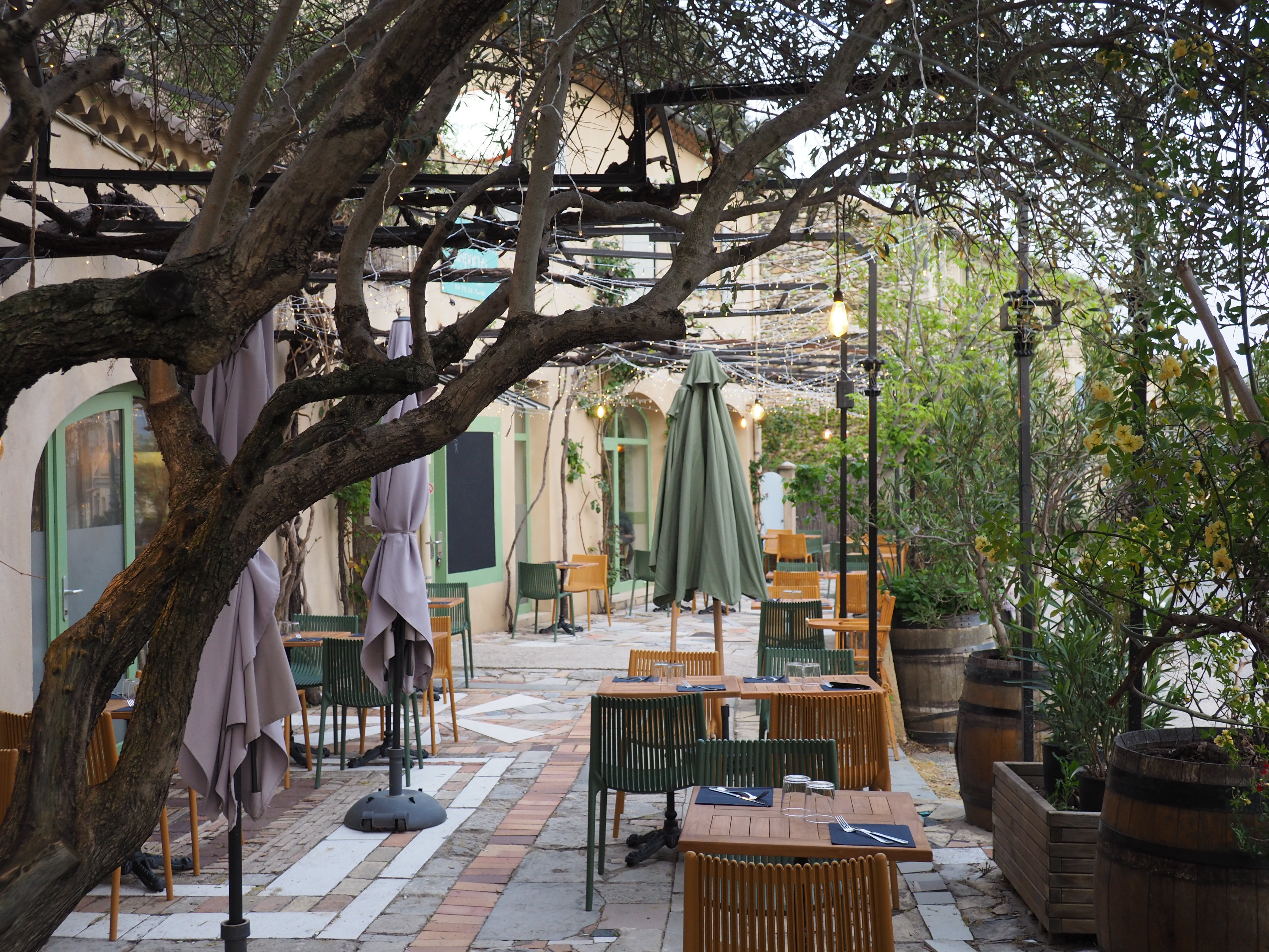 La terrasse ensoleillée sous les arbres