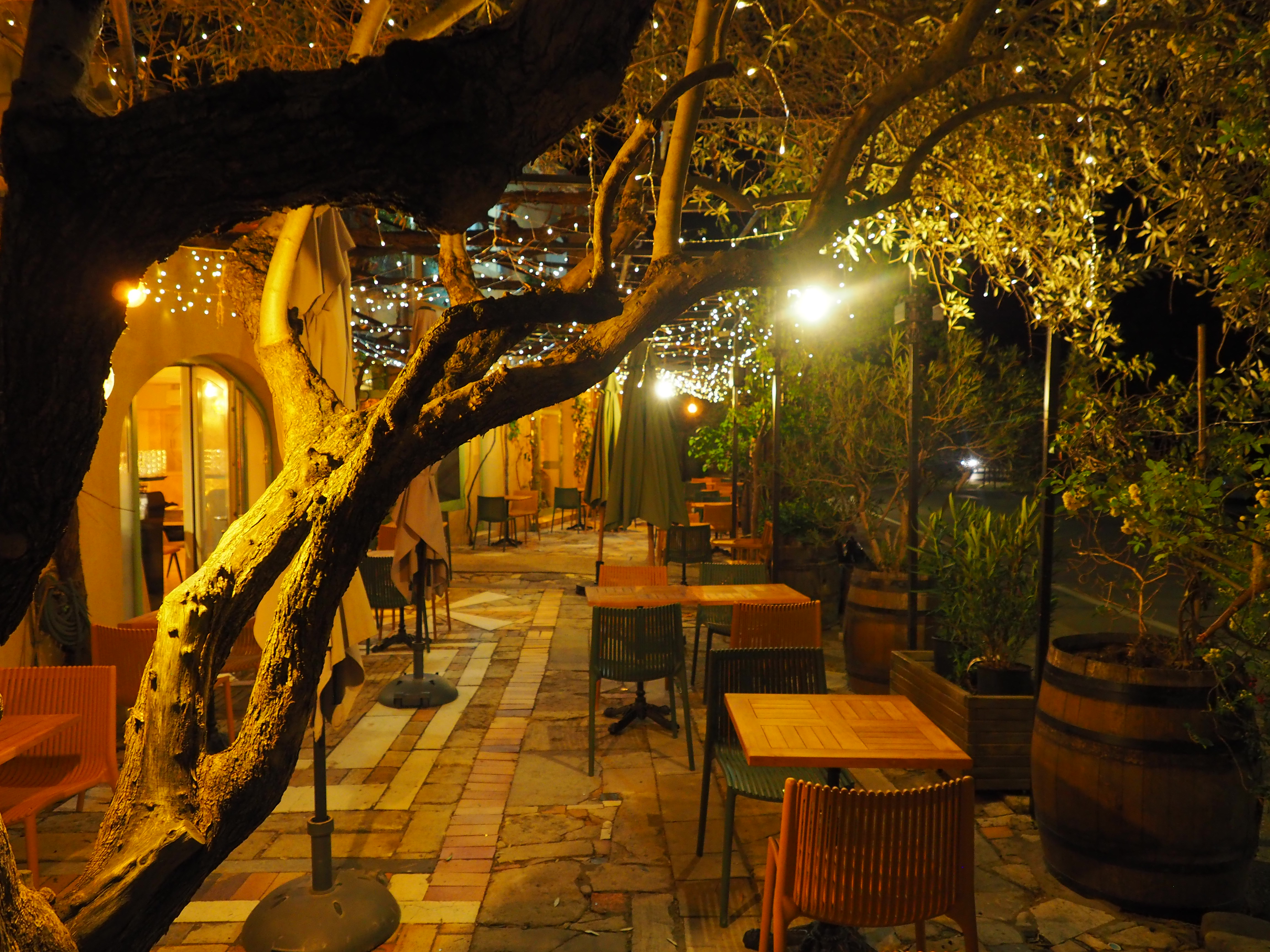 Terrasse nocturne sous l'olivier